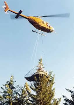 Manual-unload shear over tree in Chilliwack, B.C.